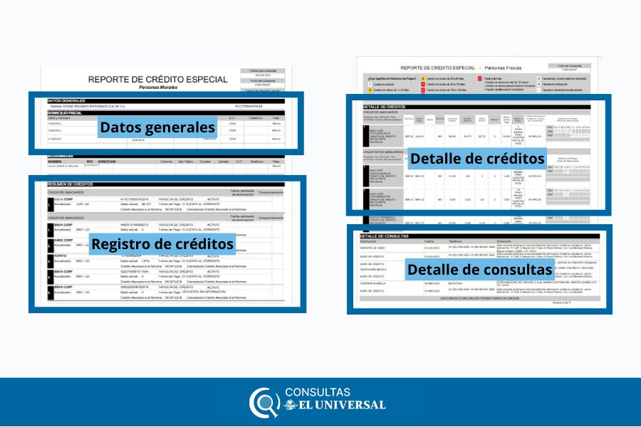 Reporte de Crédito Especial 